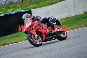 504H2488-arie-bon-fotografie-589